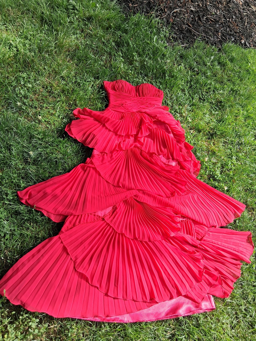 PROM DRESS Dalia Macphee Pleat Chiffon - Picture 4 of 14